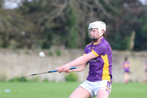 Adult Hurling League Division Three vs Bray Emmets