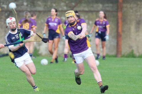 Adult Hurling League Division Three vs Bray Emmets