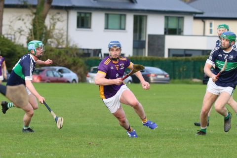 Adult Hurling League Division Three vs Bray Emmets