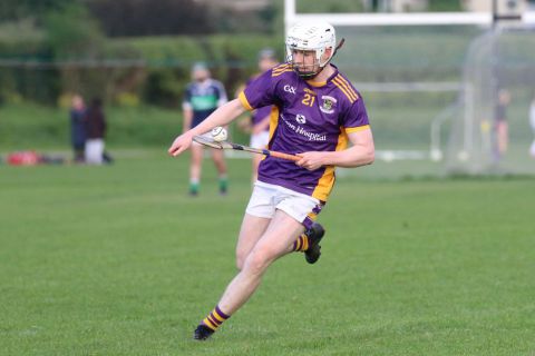 Adult Hurling League Division Three vs Bray Emmets