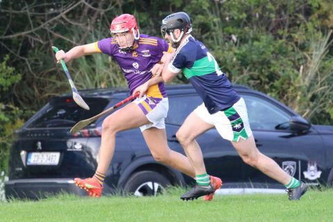 Adult Hurling League Division Three vs Bray Emmets