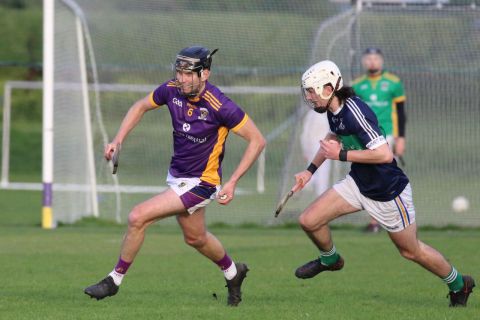 Adult Hurling League Division Three vs Bray Emmets