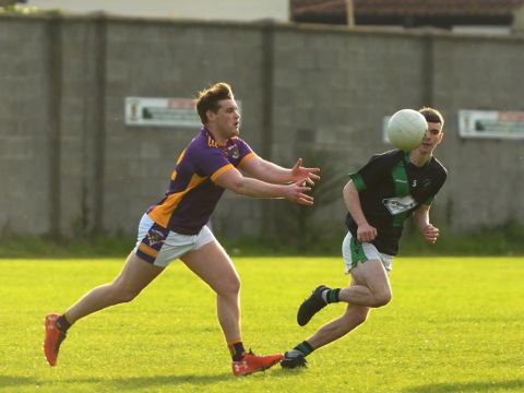 Go Ahead Adult Football League Division Eight  Kilmacud Crokes Versus Parnells 