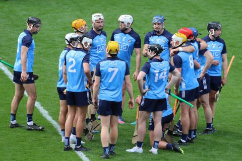 Crokes hurlers contribute to Dublin win over Wexford