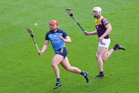 Crokes hurlers contribute to Dublin win over Wexford