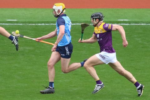 Crokes hurlers contribute to Dublin win over Wexford