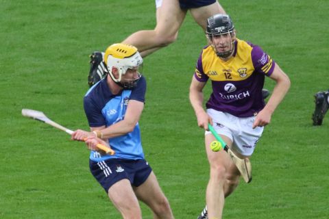 Crokes hurlers contribute to Dublin win over Wexford