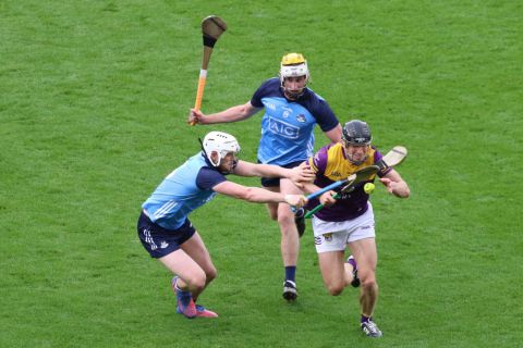 Crokes hurlers contribute to Dublin win over Wexford