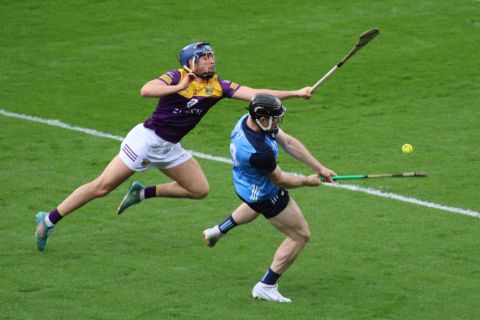 Crokes hurlers contribute to Dublin win over Wexford