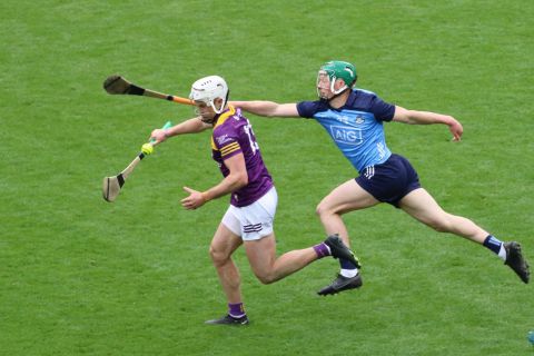 Crokes hurlers contribute to Dublin win over Wexford