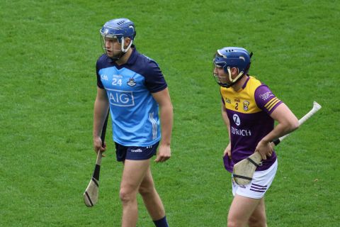 Crokes hurlers contribute to Dublin win over Wexford