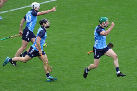 Crokes hurlers contribute to Dublin win over Wexford