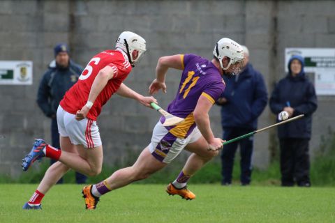 Adult Hurling League Division 1 vs St Brigids