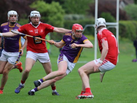 Adult Hurling League Division 1 vs St Brigids