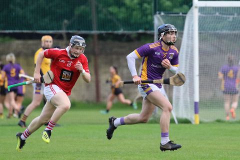 Adult Hurling League Division 1 vs St Brigids