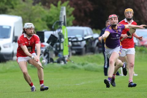 Adult Hurling League Division 1 vs St Brigids