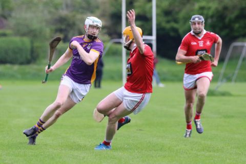 Adult Hurling League Division 1 vs St Brigids