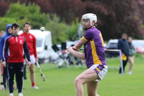 Adult Hurling League Division 1 vs St Brigids