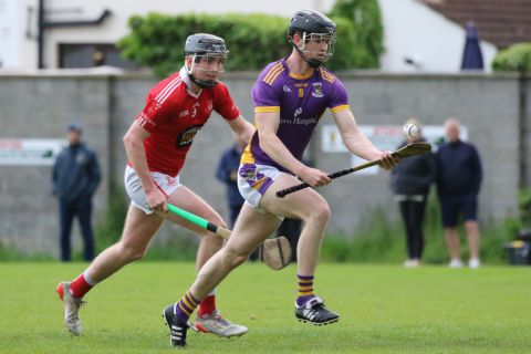 Adult Hurling League Division 1 vs St Brigids
