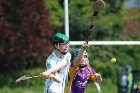 U14 Hurling D Phase One Gp.A vs Lucan Sarsfields B