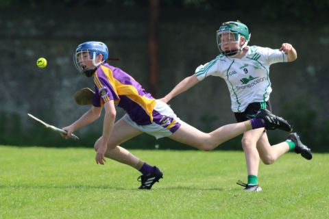 U14 Hurling D Phase One Gp.A vs Lucan Sarsfields B