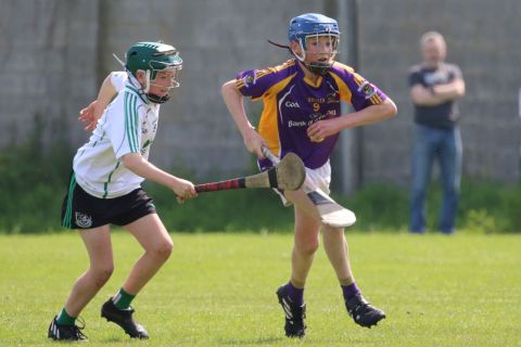 U14 Hurling D Phase One Gp.A vs Lucan Sarsfields B