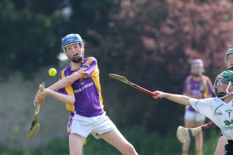 U14 Hurling D Phase One Gp.A vs Lucan Sarsfields B