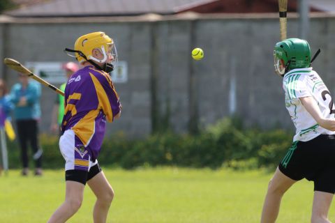 U14 Hurling D Phase One Gp.A vs Lucan Sarsfields B