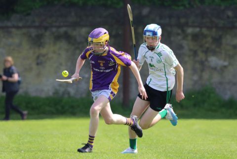 U14 Hurling D Phase One Gp.A vs Lucan Sarsfields B