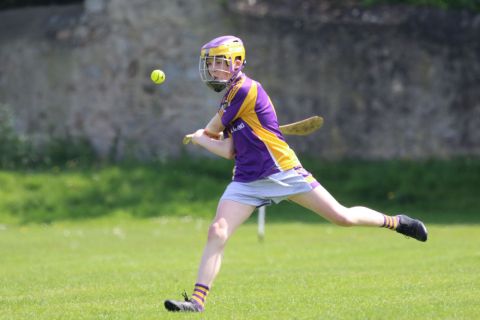 U14 Hurling D Phase One Gp.A vs Lucan Sarsfields B