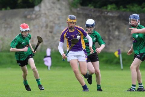 U15 Hurling Feile Div.8 vs Lucan Sarsfields