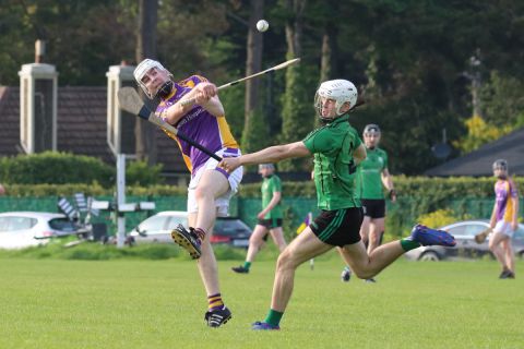 Adult Hurling League Division Four vs Lucan Sarsfileds