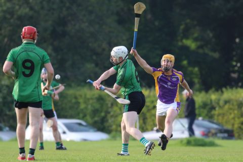 Adult Hurling League Division Four vs Lucan Sarsfileds