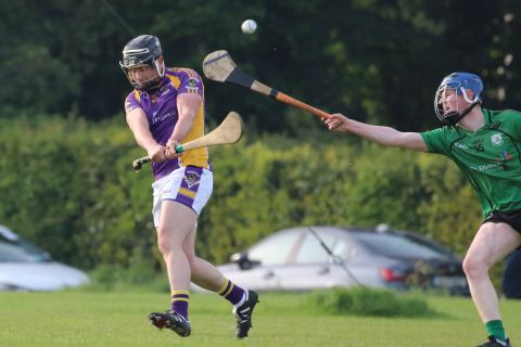 Adult Hurling League Division Four vs Lucan Sarsfileds