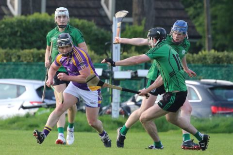 Adult Hurling League Division Four vs Lucan Sarsfileds