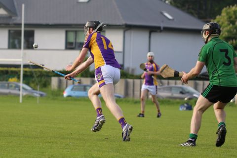 Adult Hurling League Division Four vs Lucan Sarsfileds