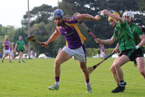 Adult Hurling League Division Four vs Lucan Sarsfileds