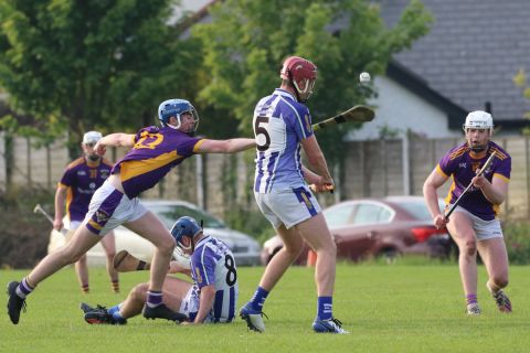 Adult Hurling League Division Three vs Ballyboden St Endas