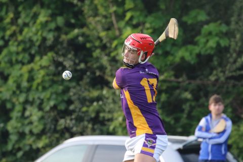 Adult Hurling League Division Three vs Ballyboden St Endas