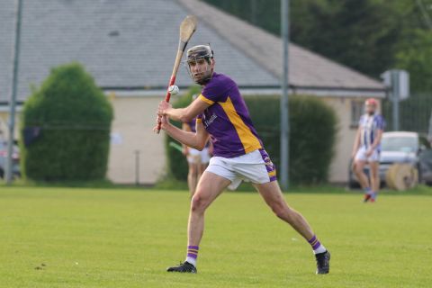 Adult Hurling League Division Three vs Ballyboden St Endas