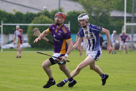 Adult Hurling League Division Three vs Ballyboden St Endas