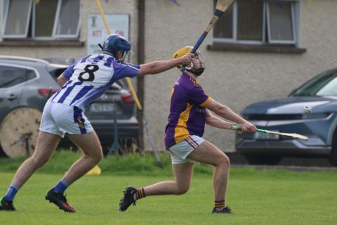 Adult Hurling League Division Three vs Ballyboden St Endas