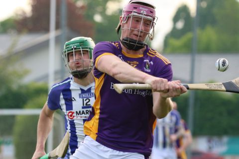 Adult Hurling League Division Three vs Ballyboden St Endas