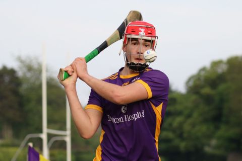 Adult Hurling League Division Three vs Ballyboden St Endas