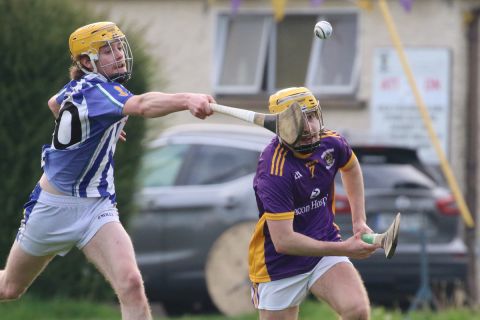 Adult Hurling League Division Three vs Ballyboden St Endas
