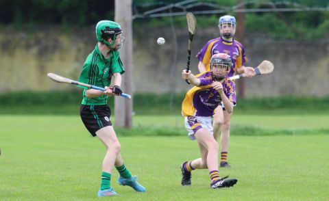 Well done to the U15 B & C teams who won their respective Division 6 and Division 8 Hurling Feile Finals 