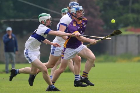 Minor Hurling League Division One vs St Vincents