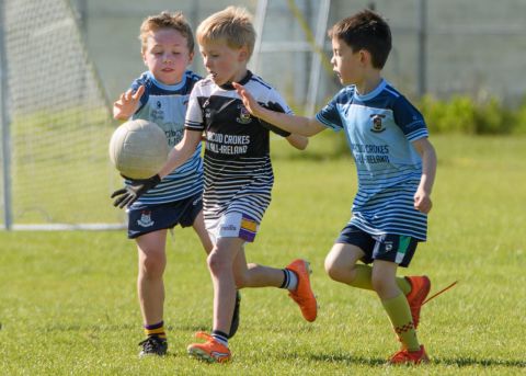 Week 1 of the Mini All Irelands 2023 