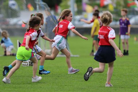 Week 4 of the Mini All Ireland  - Ladies Football