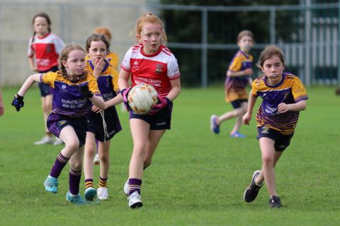 Week 4 of the Mini All Ireland  - Ladies Football